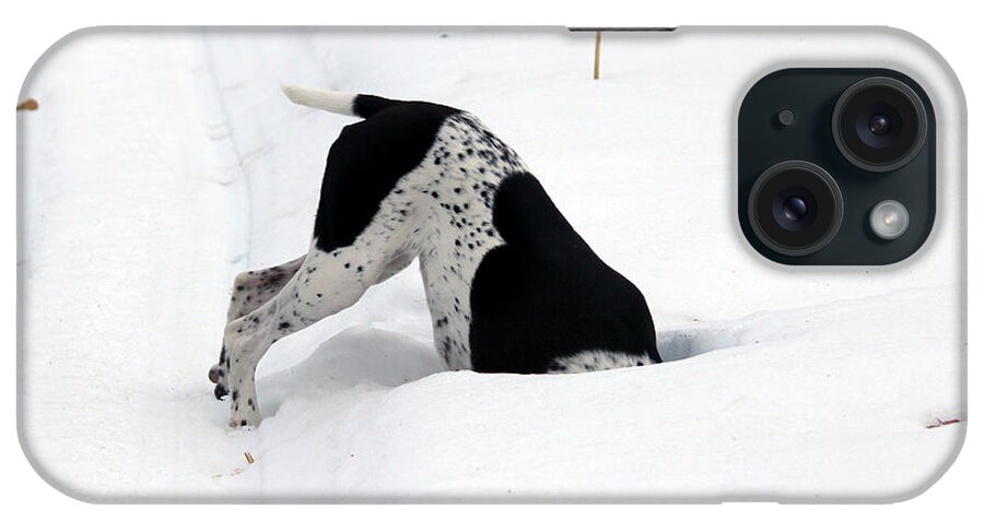 Dog iPhone Case featuring the photograph Bottoms Up by Brook Burling