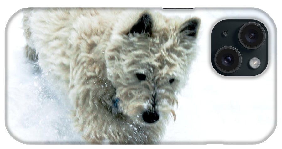 Dog iPhone Case featuring the digital art Bounding Baby Boy by Susan Vineyard