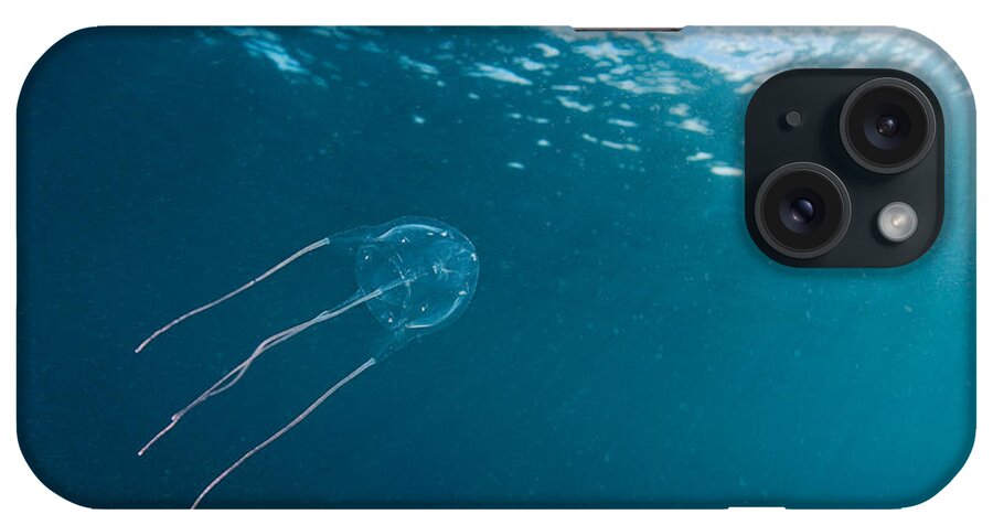 Southern Sea Wasp iPhone Case featuring the photograph Box Jellyfish by David Fleetham