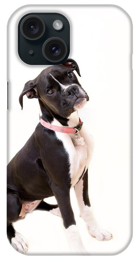 Boxer iPhone Case featuring the photograph Boxer Girl 2 by Rebecca Cozart