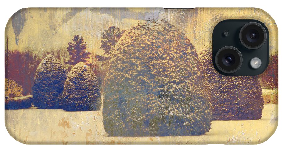 Snow iPhone Case featuring the photograph Boxwoods In Gold by Suzanne Powers