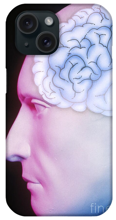 Brain iPhone Case featuring the photograph Brain Illustration by Chris Bjornberg
