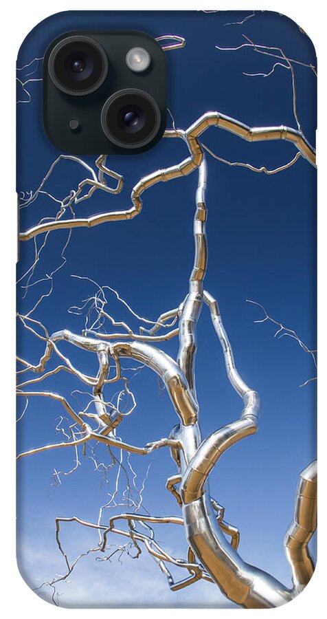 Steven Bateson iPhone Case featuring the photograph Branches of Silver by Steven Bateson
