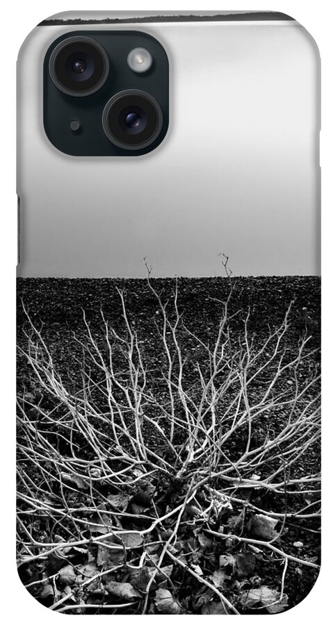 Wood iPhone Case featuring the photograph Branching Out by Brian Duram