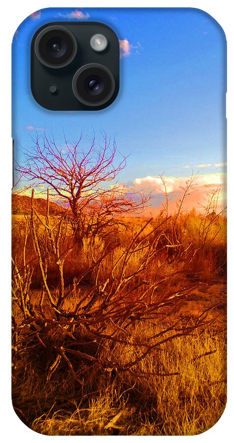 Southwest iPhone Case featuring the photograph Branching Out by Claudia Goodell