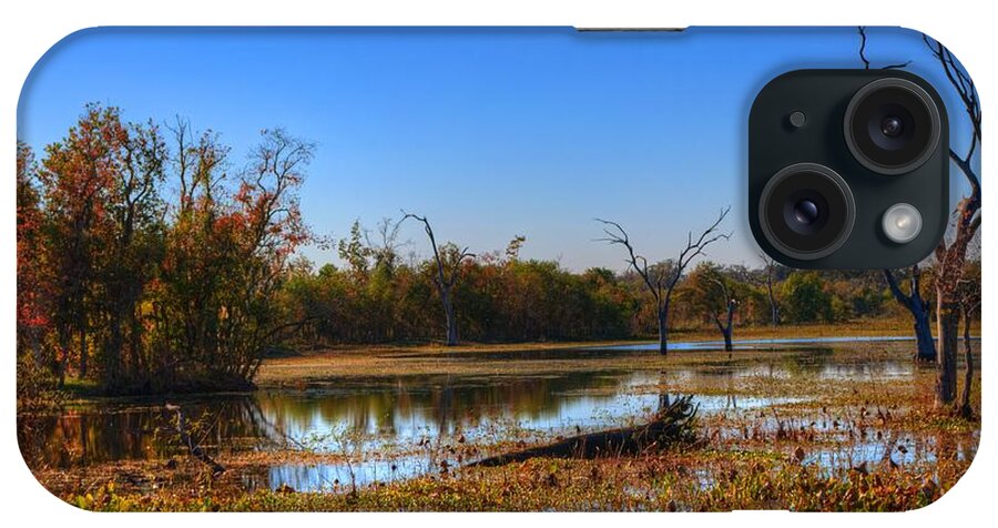 Swamp iPhone Case featuring the photograph Brazos Bend Swamp by David Morefield