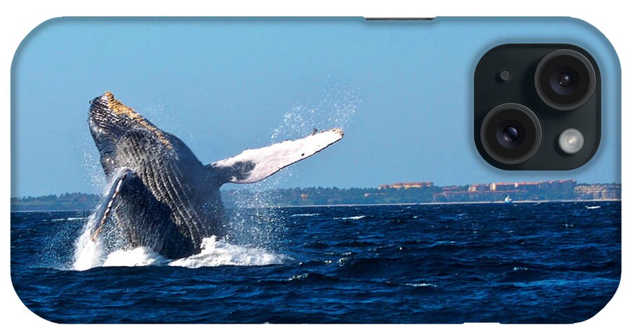 Whale iPhone Case featuring the photograph Breaching Whale by Ken Arcia