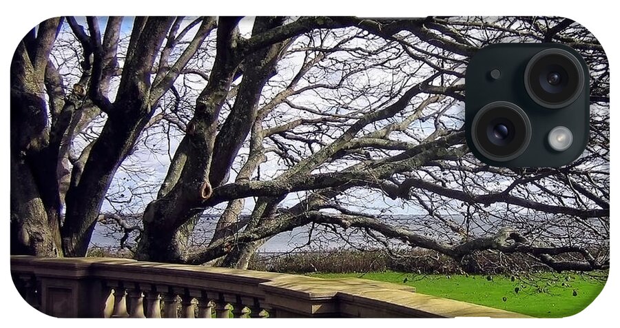Tree iPhone Case featuring the photograph Breakers Mansion Tree by Kate McKenna