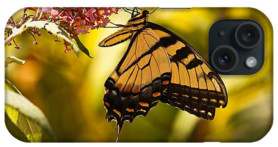 Butterfly iPhone Case featuring the photograph Breakfast on the Veranda... by Tammy Schneider