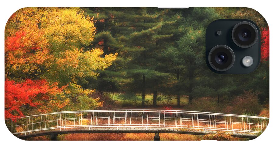 Autumn iPhone Case featuring the photograph Bridge to Autumn by Karol Livote