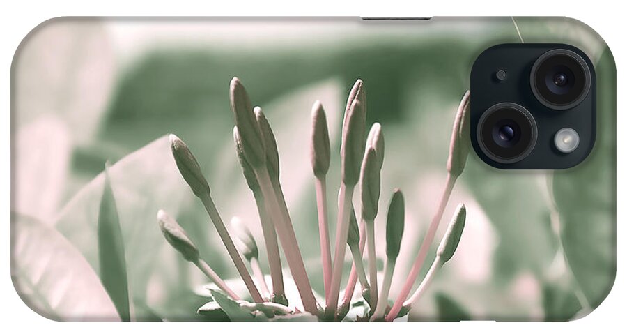 Bright iPhone Case featuring the photograph Bright moment by Milena Ilieva