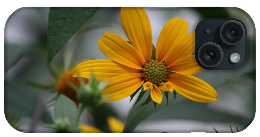 Yellow Flower iPhone Case featuring the photograph Brighter Days by Neal Eslinger