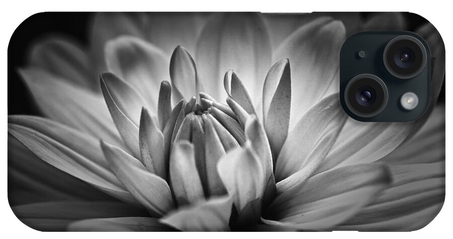 # Nature iPhone Case featuring the photograph Brilliance by Mary Lou Chmura