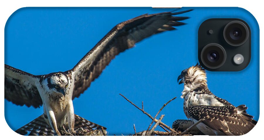 Osprey iPhone Case featuring the photograph Bringing Home Dinner by Cathy Kovarik