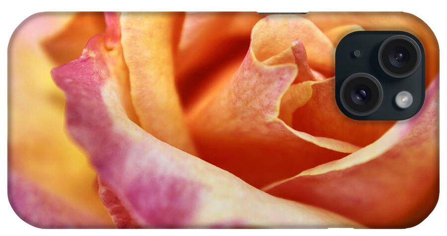 Macro iPhone Case featuring the photograph Broadway Hybrid Tea Rose by Jason Politte