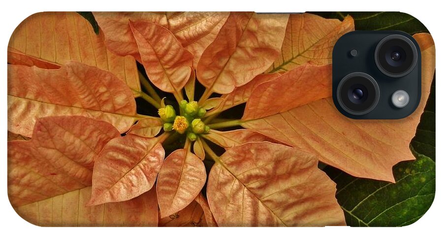 Flower iPhone Case featuring the photograph Bronze Poinsettia 3 by VLee Watson