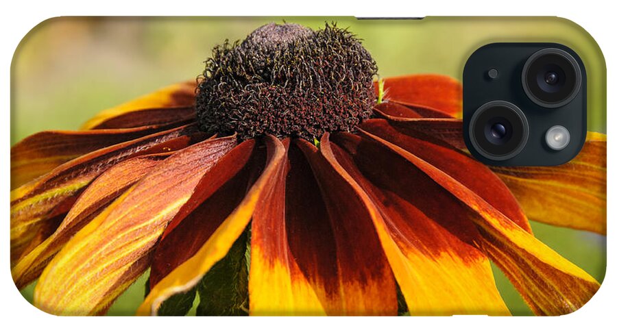 Wisconsin iPhone Case featuring the photograph Brown and Gold and Rust by Betty Eich
