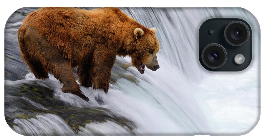 Brown Bear iPhone Case featuring the photograph Brown Bear At Brooks Falls by Naphat Photography