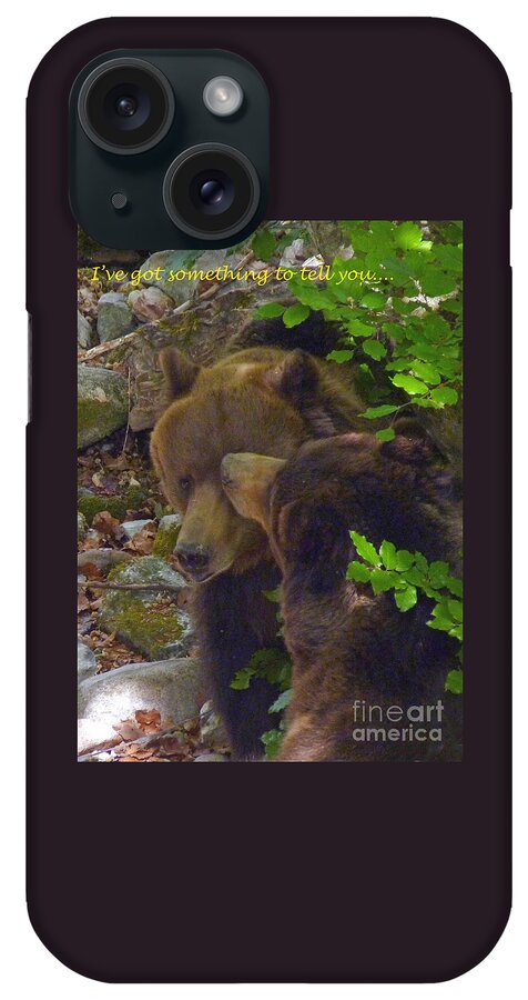 Brown Bears iPhone Case featuring the photograph Brown Bears Encounter by Phil Banks