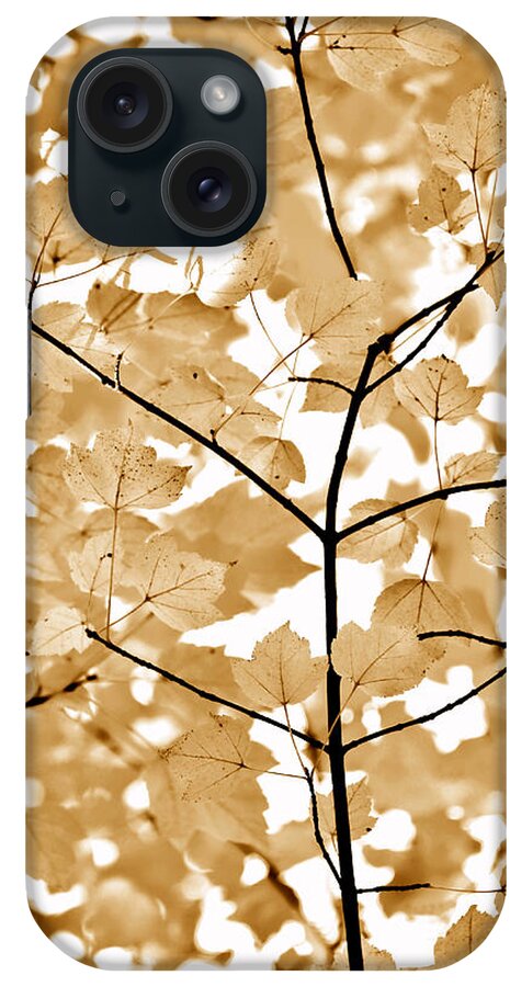 Leaf iPhone Case featuring the photograph Brown Leaves Melody by Jennie Marie Schell