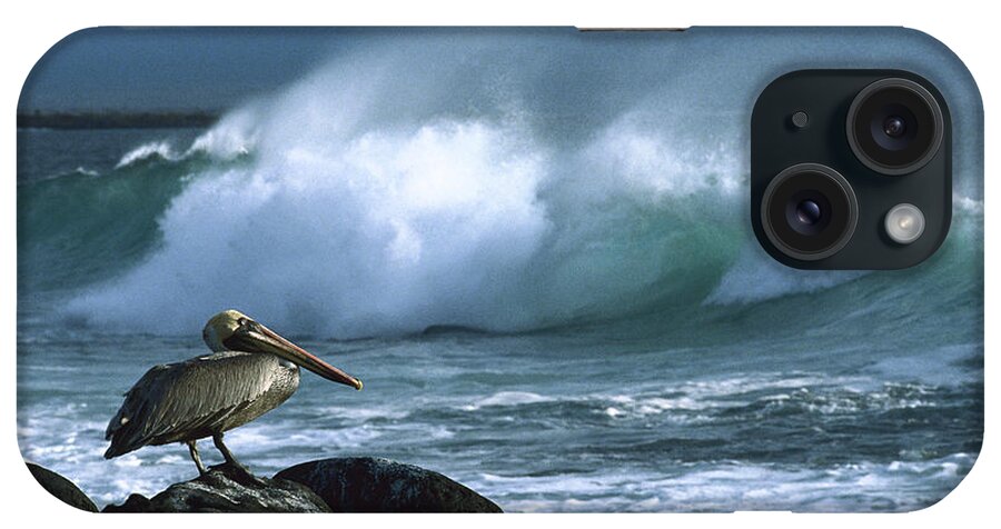 Feb0514 iPhone Case featuring the photograph Brown Pelican And Waves Galapagos by Konrad Wothe
