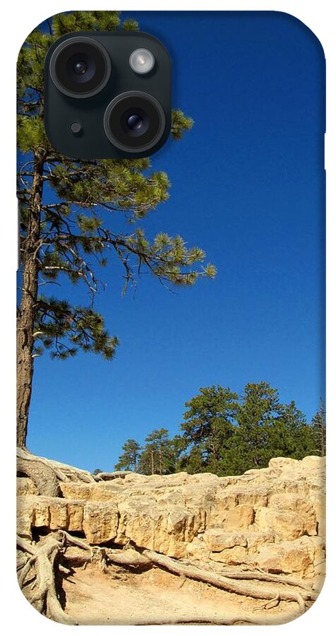 Bryce Canyon iPhone Case featuring the photograph Bryce Canyon 166 Tree Roots by Maria Huntley