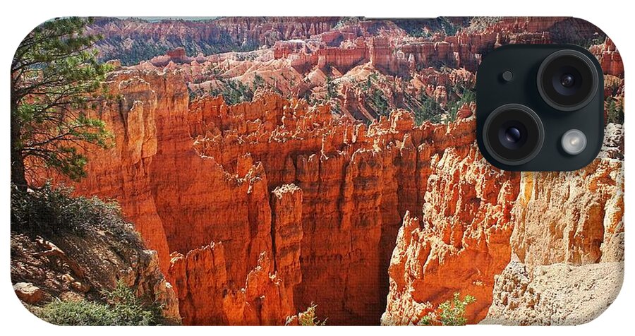 Bryce Canyon iPhone Case featuring the photograph Bryce Canyon Many Features by Tom Janca