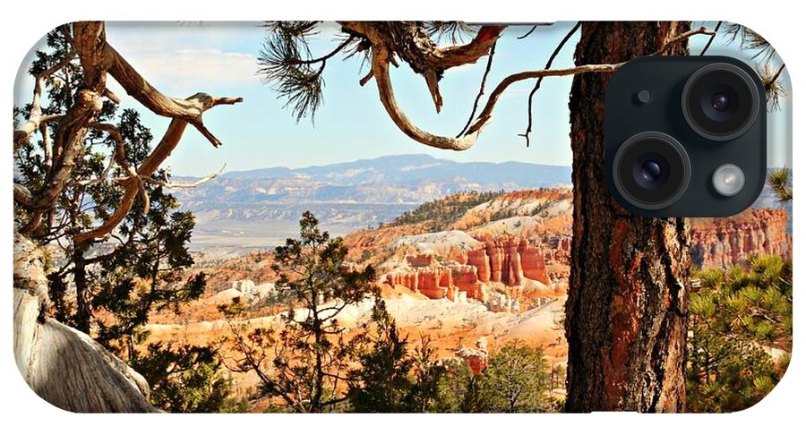 Bryce Canyon National Park iPhone Case featuring the photograph Bryce Canyon Through the Trees by Steve Natale