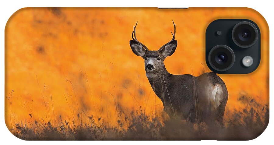Hunting iPhone Case featuring the photograph Buck Pose by Kadek Susanto