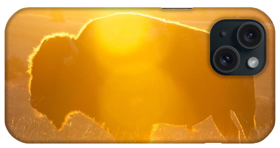 Buffalo iPhone Case featuring the photograph Buffalo Sunrise by Kevin Bone