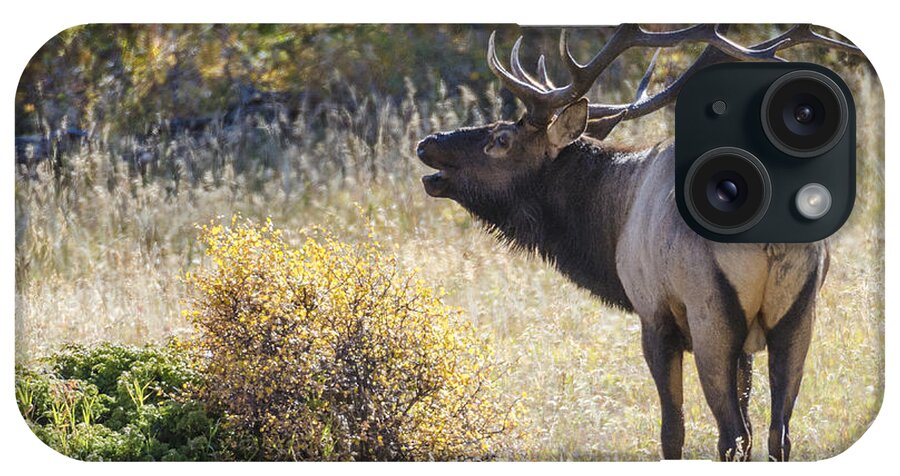 Rocky Mountain iPhone Case featuring the photograph Bull Elk Buggling by David Drew