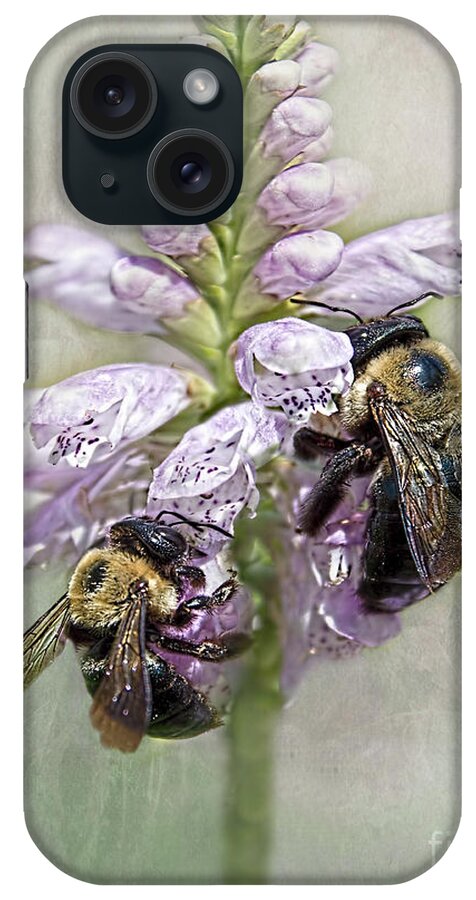 Bumble Bee iPhone Case featuring the photograph Bumblebee Dinner Date by Barbara McMahon