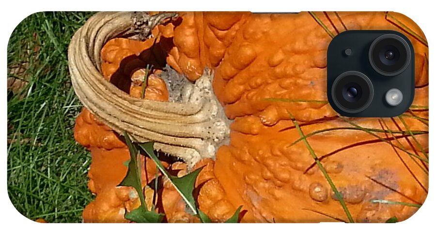 Pumpkin iPhone Case featuring the photograph Bumpy and Beautiful by Caryl J Bohn