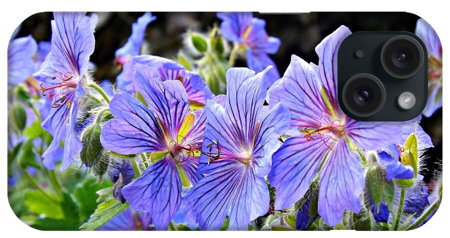 Geranium iPhone Case featuring the photograph Bunches by Clare Bevan