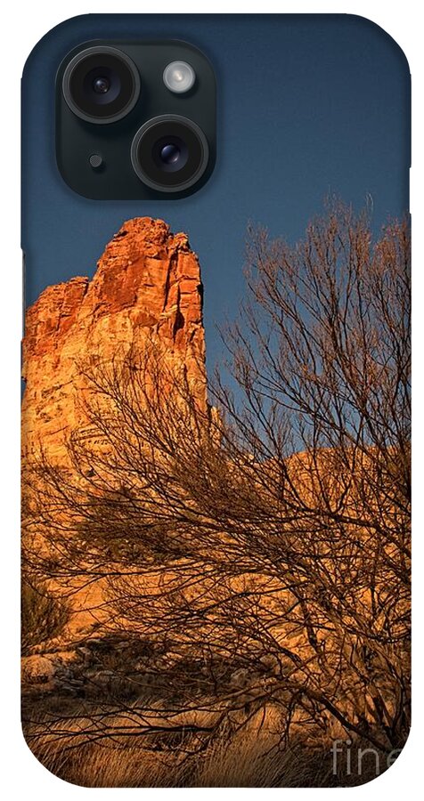 Chambers Pillar iPhone Case featuring the photograph Burnt Mulga Tree at Chambers Pillar by Peter Kneen