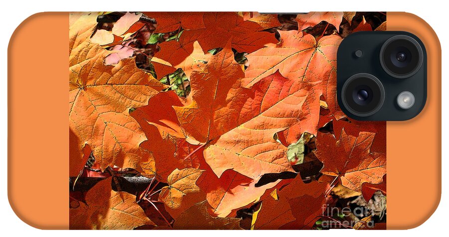 Autumn iPhone Case featuring the photograph Burnt Orange by Ann Horn