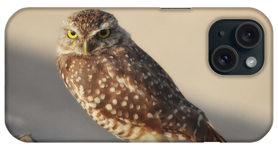 Owl iPhone Case featuring the photograph Burrowing Owl by Donna Greene