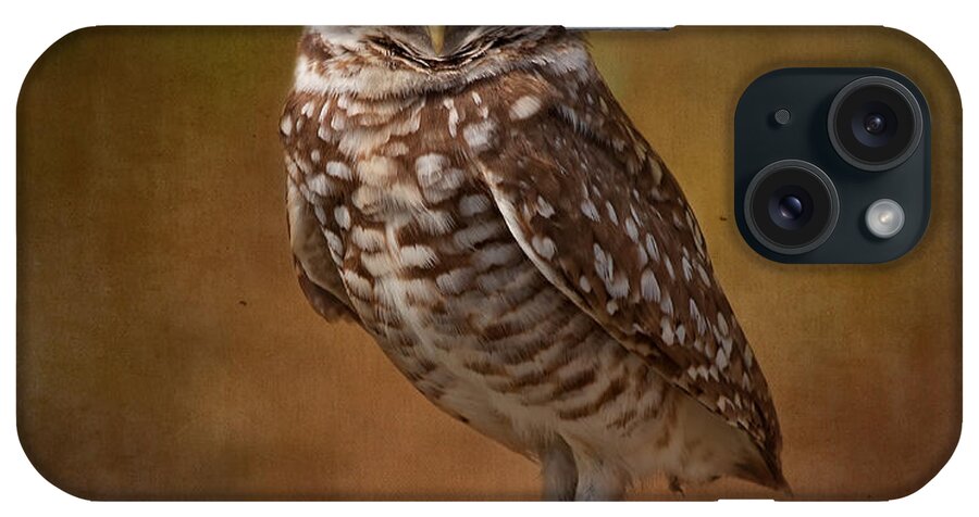 Wildlife iPhone Case featuring the photograph Burrowing Owl Portrait by Kim Hojnacki