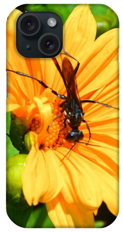 Insect iPhone Case featuring the painting Busy as a Bee by AnnaJo Vahle