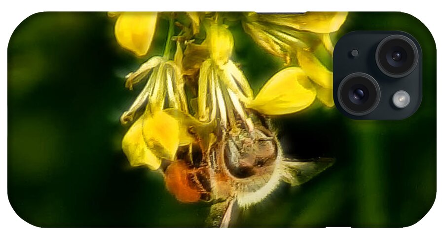 Bee iPhone Case featuring the photograph Busy Bee by Lucy VanSwearingen