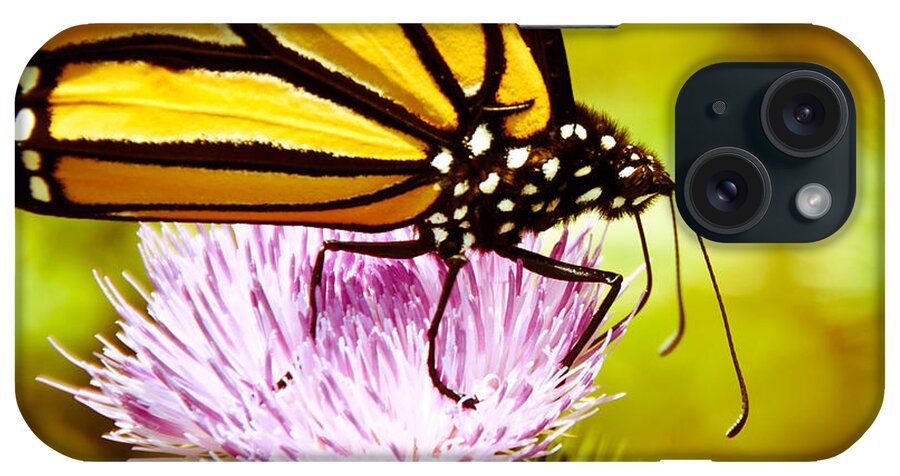 Monarch iPhone Case featuring the photograph Busy Butterfly by Cheryl Baxter