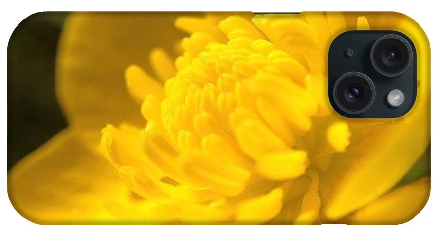 iPhone Case featuring the photograph 🌼buttercup🌼 by ♌ 🌸chrissy🌸