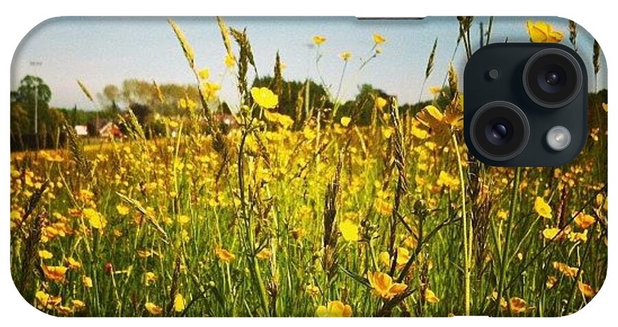 Buttercup iPhone Case featuring the photograph Buttercup Vale by Krstvr