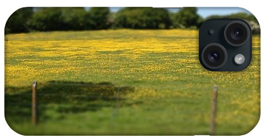 Field iPhone Case featuring the photograph Buttercups. #isleofwightsteamrailway by Louisa York