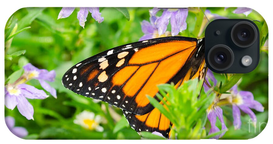 Butterfly iPhone Case featuring the photograph Butterflies 3 by Andrea Anderegg