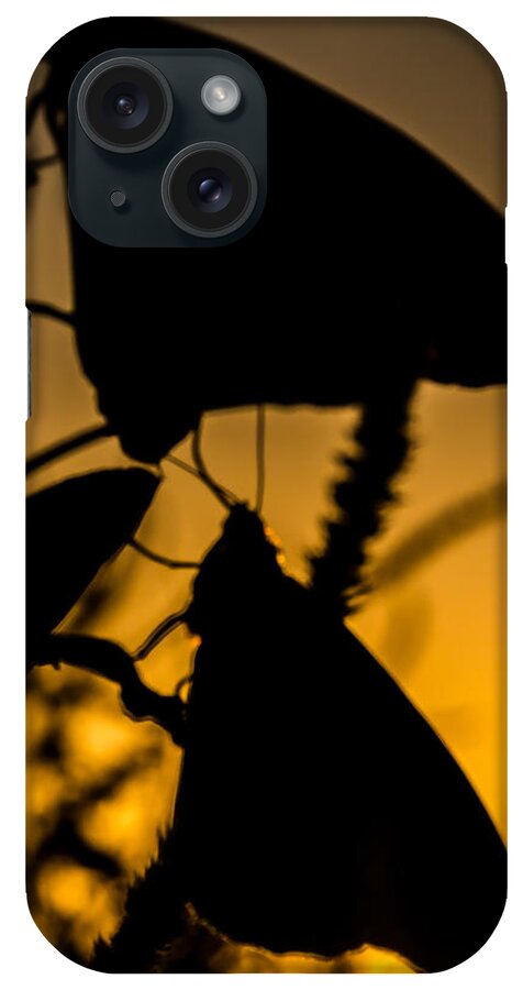 Jay Stockhaus iPhone Case featuring the photograph Butterflies by Jay Stockhaus