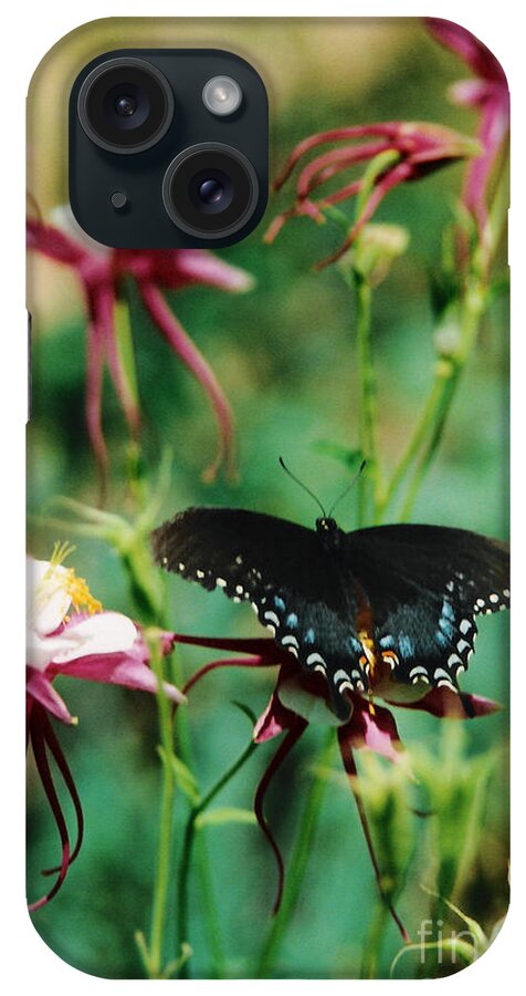 Butterfly iPhone Case featuring the photograph Butterfly and Pink Columbine by Heather Kirk