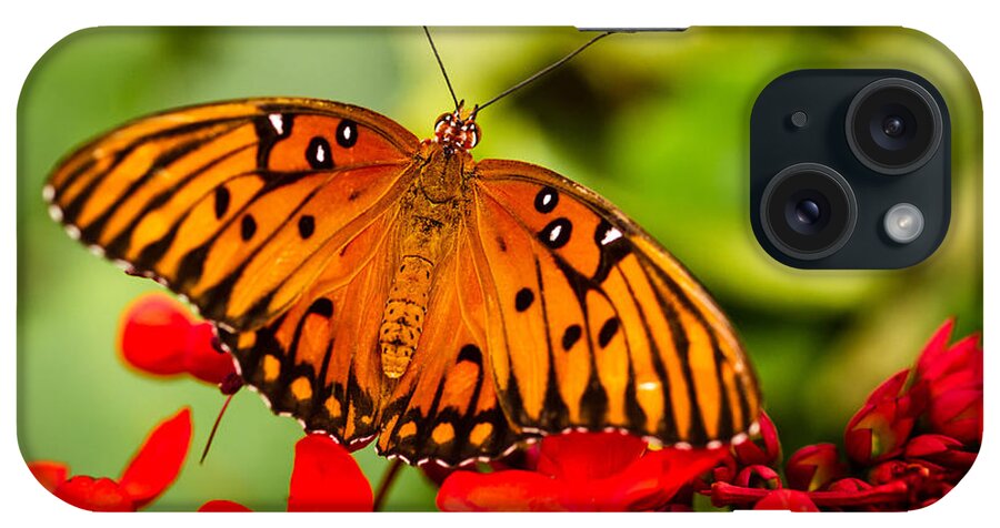 Animal iPhone Case featuring the photograph Butterfly Beauty by Teri Virbickis