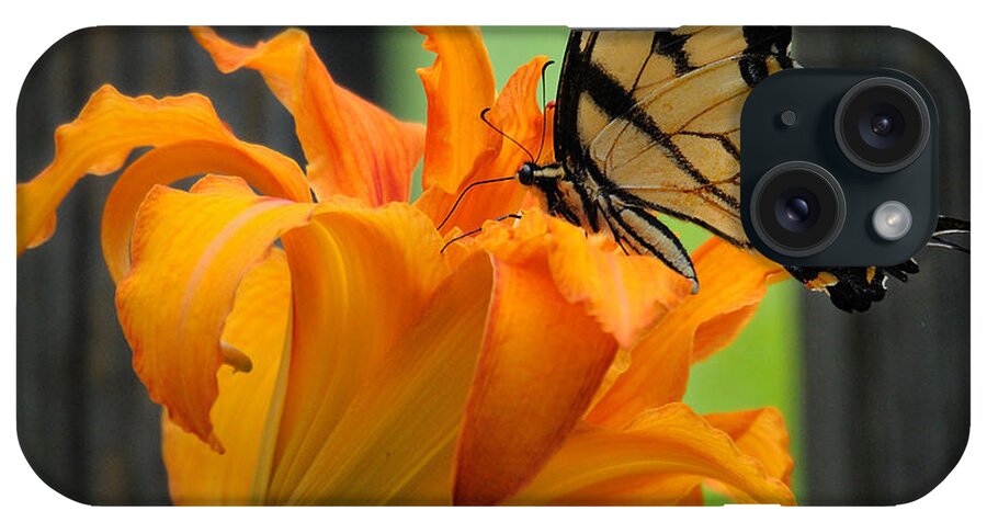 Butterfly iPhone Case featuring the photograph Butterfly by David Hart