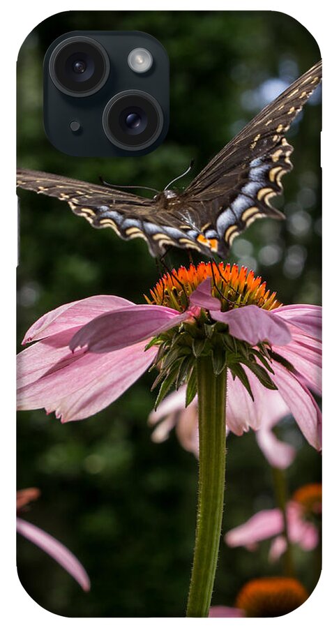 Butterfly iPhone Case featuring the photograph Butterfly Flies Away by Glenn DiPaola